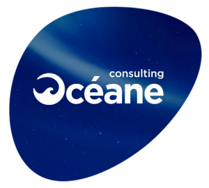 Logo Océane Consulting